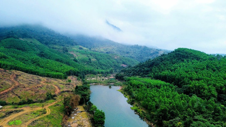 Núi rừng mang sức sống mùa xuân. Núi rừng mang sức sống mùa xuân.