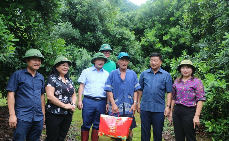 Đoàn đại biểu hội đồng nhân dân hai cấp thăm, tặng quà các gia đình đang thực hiện các mô hình phát triển cây mắc-ca tại huyện Tuần Giáo.