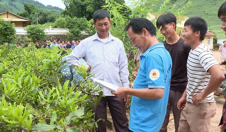 Niềm vui của người dân xã Phình Sáng khi được nhận cây mắc-ca giống do huyện trao tặng.