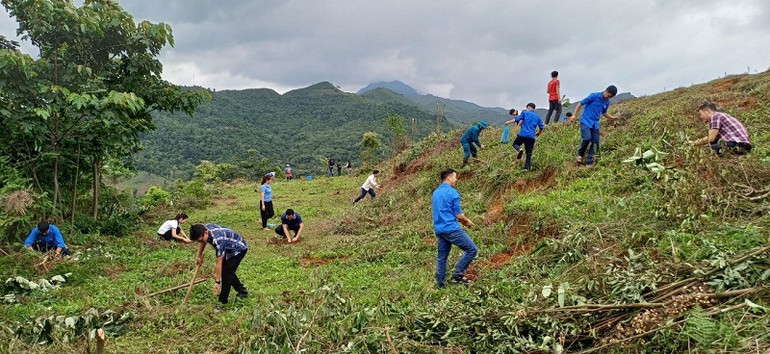 Đoàn viên thanh niên huyện Nậm Pồ cùng hộ nghèo bản Chế Nhù trồng cây thông.