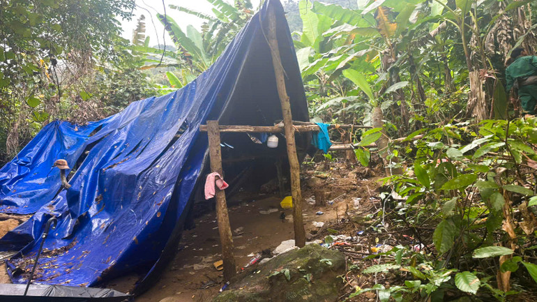 Lán trại của các đối tượng khai thác vàng trái phép ở Tam Lãnh dựng lên.