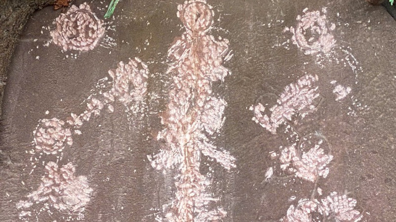 Các chữ và hình chạm khắc trên mặt Bia yểm thuỷ đạo đã bị đục phá làm hư hại gần như hoàn toàn. Các chữ và hình chạm khắc trên mặt Bia yểm thuỷ đạo đã bị đục phá làm hư hại gần như hoàn toàn.