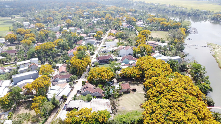 Thành phố Tam Kỳ hướng đến xây dựng thương hiệu “Tam Kỳ - Thành phố hoa sưa vàng”. Thành phố Tam Kỳ hướng đến xây dựng thương hiệu “Tam Kỳ - Thành phố hoa sưa vàng”.