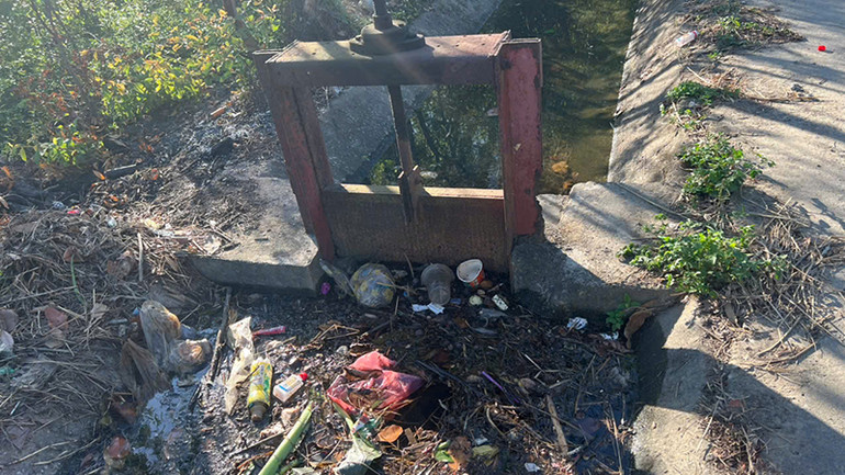 Rác thải ùn ứ ở đoạn cuối tuyến kênh N24 Bắc Phú Ninh.