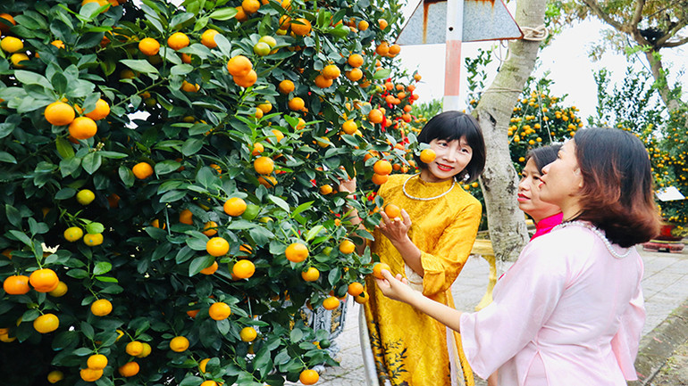 Người dân và du khách hào hứng lưu lại những bức ảnh kỷ niệm.