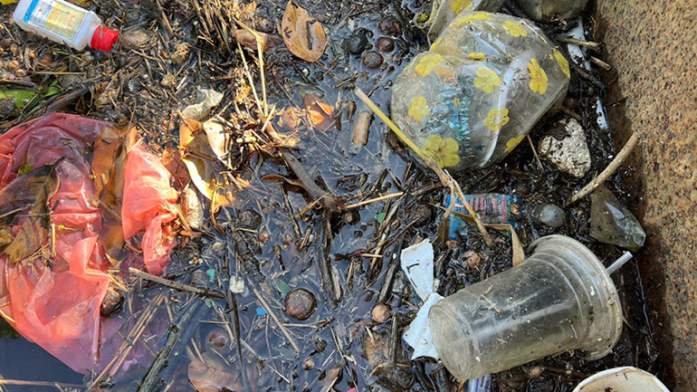 Rác thải vứt bừa bãi xuống lòng kênh gây ô nhiễm cao như xác động vật chết, hộp giấy, túi nilon, vỏ chai thuốc bảo vệ thực vật.