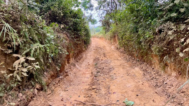 Con đường dẫn vào địa điểm khai thác đất, đá trái phép tại khu vực giáp ranh giữa địa phận thị trấn Phú Thịnh, huyện Phú Ninh và xã Tiên Phong, huyện Tiên Phước.