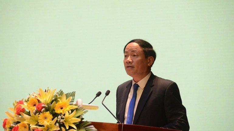 Chủ tịch Ủy ban nhân dân tỉnh Bình Định Phạm Anh Tuấn phát biểu tại hội nghị.