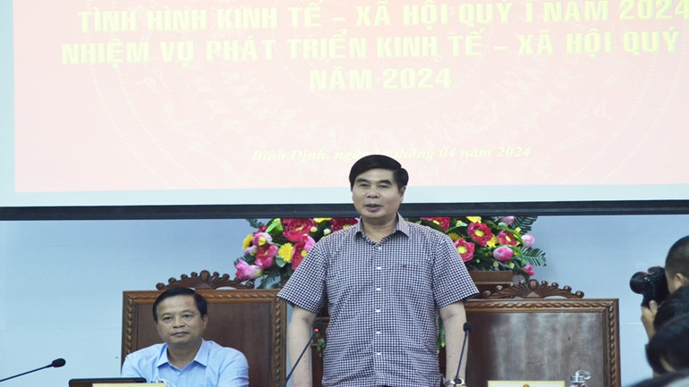 Đồng chí Lâm Hải Giang, Phó Chủ tịch Ủy ban nhân dân tỉnh Bình Định phát biểu tại buổi họp.