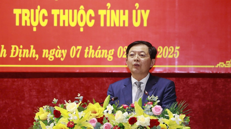 Bí thư Tỉnh ủy Bình Định Hồ Quốc Dũng phát biểu tại hội nghị.