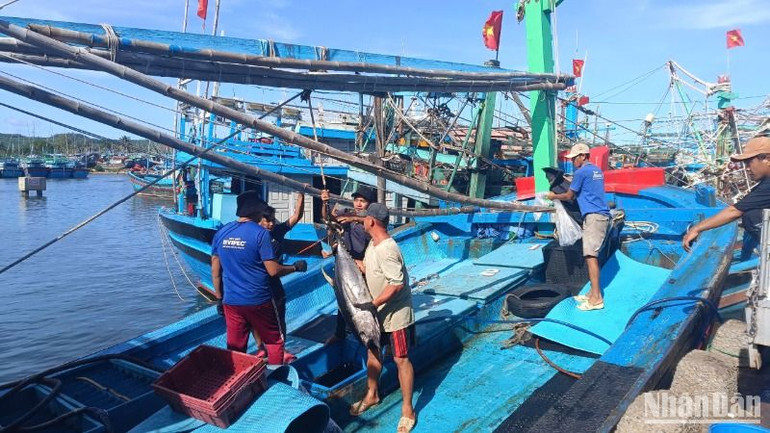 Thủy sản khai thác đều phải có nguồn gốc rõ ràng.