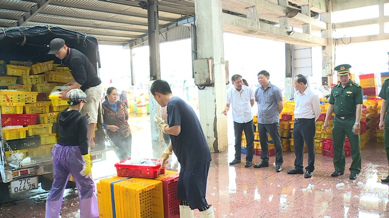 Đoàn công tác kiểm tra tại Cảng cá Quy Nhơn.
