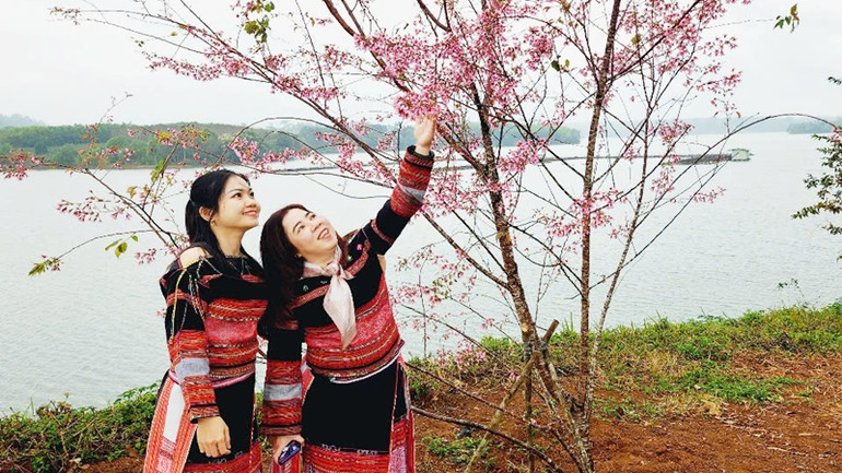 Tạo dáng bên hoa đào. Tạo dáng bên hoa đào.