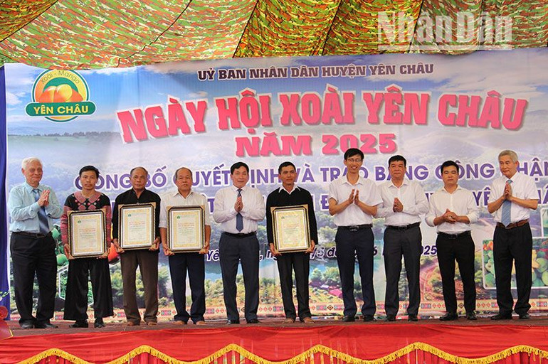 Trao Bằng công nhận các cây di sản Việt Nam cho các bản thuộc các xã của huyện Yên Châu. Trao Bằng công nhận các cây di sản Việt Nam cho các bản thuộc các xã của huyện Yên Châu.