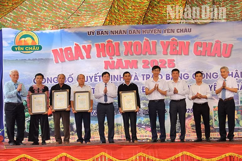 Trao Bằng công nhận các cây di sản Việt Nam cho các bản thuộc các xã của huyện Yên Châu.