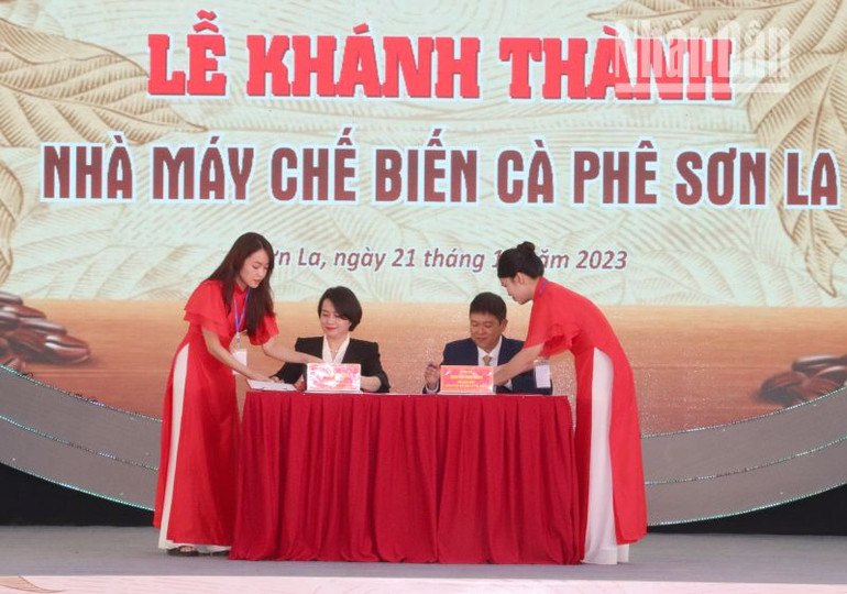 Công ty cổ phần chế biến cà-phê Sơn La ký kết hợp đồng tiêu thụ sản phẩm cà phê Arabica. Công ty cổ phần chế biến cà-phê Sơn La ký kết hợp đồng tiêu thụ sản phẩm cà phê Arabica.