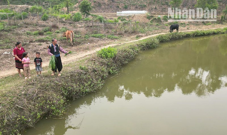 Ông Mùa Lao Ư là người H'Mông đầu tiên ở Đin Chí biết đào ao để nuôi cá.