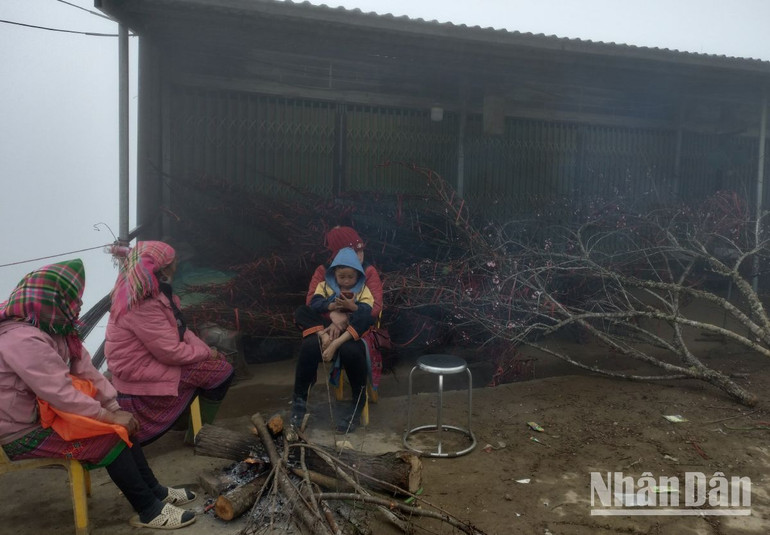 Những người bán đào vùng cao Sơn La đốt lửa để chống lại cái lạnh 5 độ C.