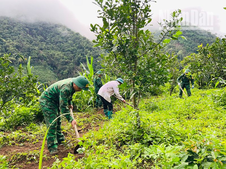 Cán bộ, chiến sĩ Đồn Biên phòng Mường Lèo tổ chức giúp đỡ các gia đình chính sách.