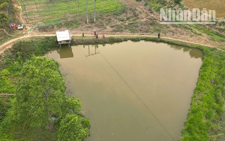 Nhiều hộ đồng bào H'Mông ở xã Chiềng Tương, huyện Yên Châu đã học theo ông Mùa Lao Ư đào ao thả cá.