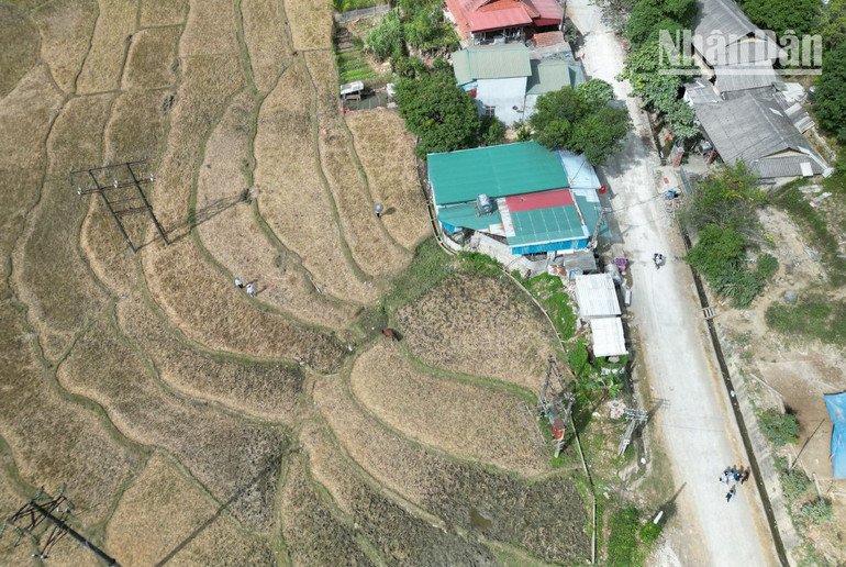 Khu vực đất xây dựng dự án cửa hàng xăng dầu là đất ruộng hai vụ chưa được chuyển đổi. Khu vực đất xây dựng dự án cửa hàng xăng dầu là đất ruộng hai vụ chưa được chuyển đổi.