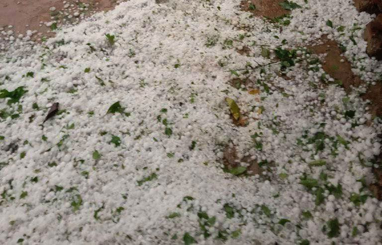 Mưa đá xảy ra chiều 25/3 với những viên đá kích cỡ to, nhỏ khác nhau đã gây ảnh hưởng tới nhà cửa, hoa màu của người dân các xã thuộc huyện Thuận Châu.