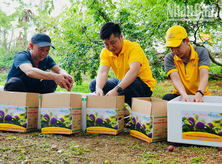 Nông dân huyện Yên Châu được hướng dẫn cách đóng gói sản phẩm giao dịch qua sàn thương mại điện tử Portmart.