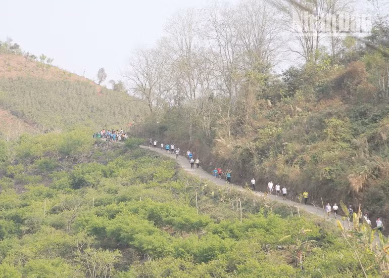 Hơn 3.000 người tham gia Ngày chạy Olympic vì sức khỏe toàn dân ảnh 4