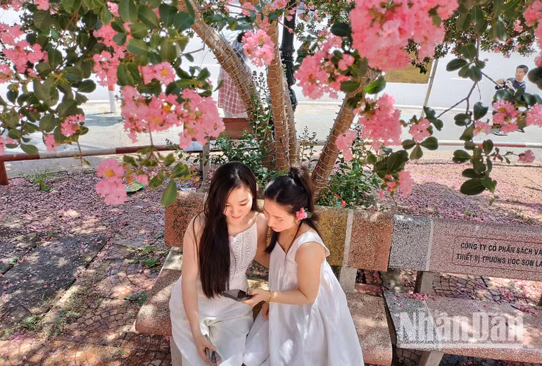 Các bạn trẻ cùng nhau chiêm ngưỡng lại những hình ảnh của mình dưới tán hoa Tường Vi khu vực khuôn viên tại ngã tư phường Chiềng Lề, thành phố Sơn La. Các bạn trẻ cùng nhau chiêm ngưỡng lại những hình ảnh của mình dưới tán hoa Tường Vi khu vực khuôn viên tại ngã tư phường Chiềng Lề, thành phố Sơn La.