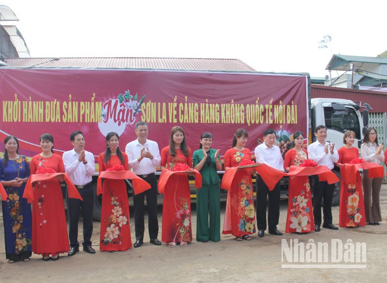 Tỉnh Sơn La cắt băng khởi hành đưa sản phẩm mận về Cảng hàng không quốc tế Nội Bài.