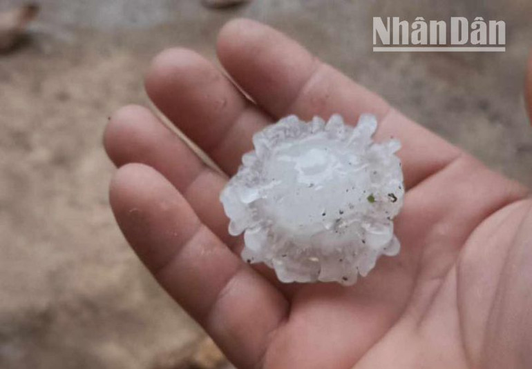 Kích cỡ một viên đá tại huyện Thuận Châu, tỉnh Sơn La. (Ảnh: TÙNG LÂM)