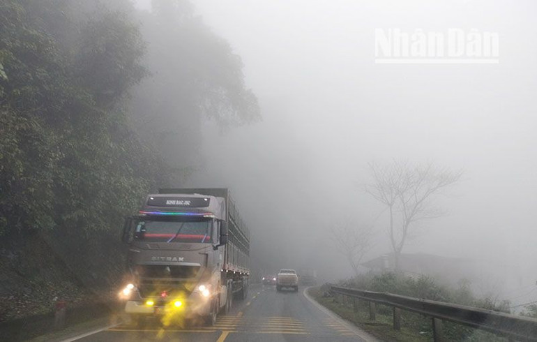 Các phương tiện di chuyển trên tuyến Quốc lộ 6, đoạn chạy qua huyện Tân Lạc, tỉnh Hòa Bình phải bật đèn chiếu sáng và đèn sương mù để di chuyển và cảnh báo cho các phương tiện ngược chiều. Các phương tiện di chuyển trên tuyến Quốc lộ 6, đoạn chạy qua huyện Tân Lạc, tỉnh Hòa Bình phải bật đèn chiếu sáng và đèn sương mù để di chuyển và cảnh báo cho các phương tiện ngược chiều.