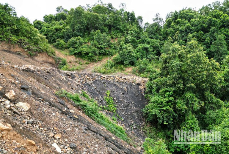 Theo báo cáo của Tổ rà soát theo Quyết định 714/QĐ-UBND ngày 6/9/2024, Công ty KS Sơn La đã lấn chiếm 33,69ha rừng sản xuất.