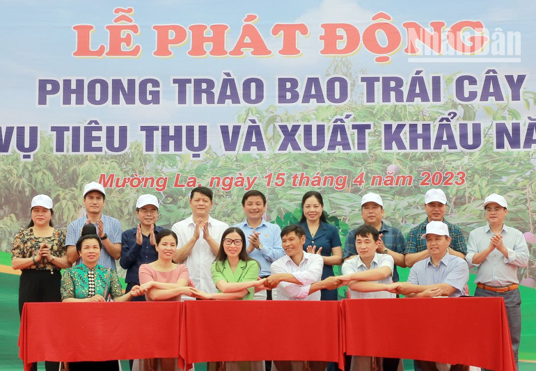 Đại diện các doanh nghiệp tiêu thụ, xuất khẩu, các hợp tác xã ký kết liên kết, tiêu thụ sản phẩm trái cây.