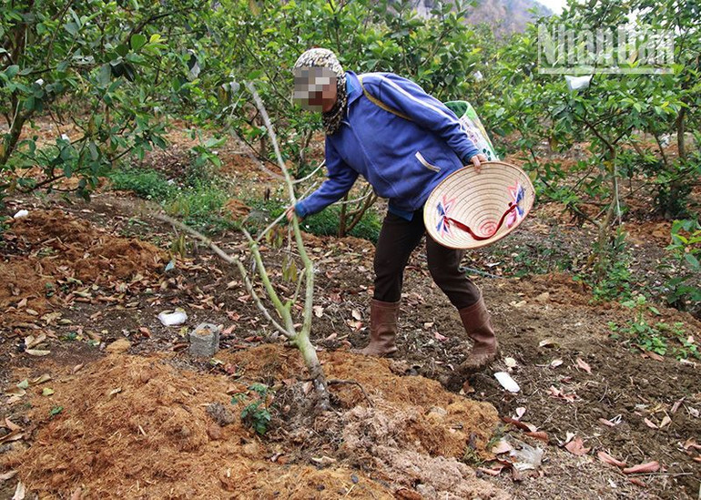 Cần làm rõ những sai phạm của 2 dự án lớn ở Sơn La ảnh 5