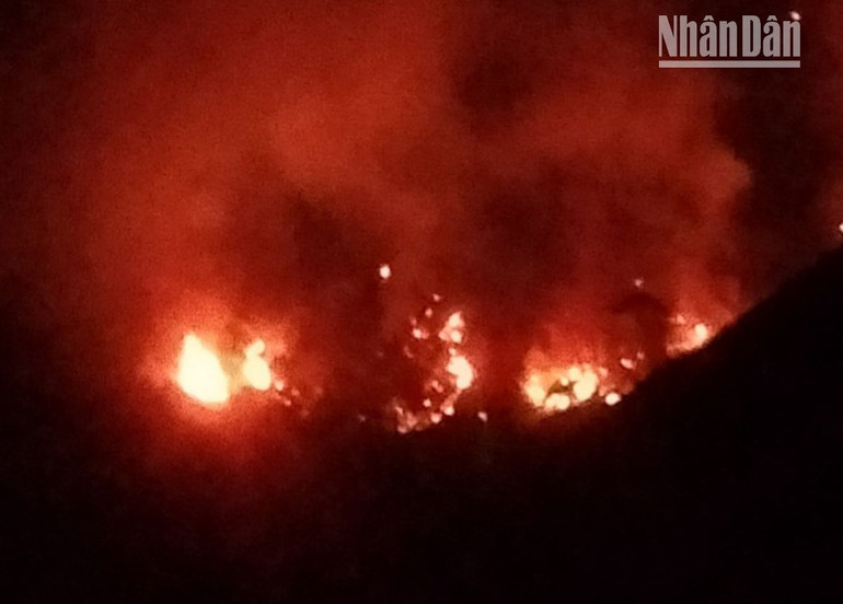 Đám cháy từ bên kia biên giới Lào đã cháy lan qua khu vực Mốc 243 và 244 thuộc Đồn Biên phòng Chiềng Tương quản lý.