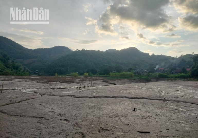 Sau khi nước rút do thủy điện xả nước, một lượng lớn bùn đất còn lại tại các khu vực trồng lúa, hoa màu của người dân các bản xã Long Hẹ, Mường Bám. Sau khi nước rút do thủy điện xả nước, một lượng lớn bùn đất còn lại tại các khu vực trồng lúa, hoa màu của người dân các bản xã Long Hẹ, Mường Bám.