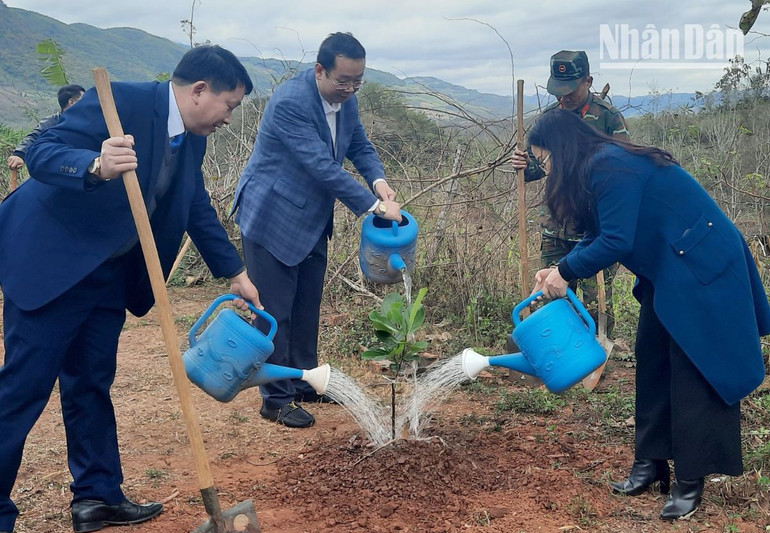Ra quân trồng cây đầu Xuân, huyện Yên Châu sẽ trồng trên 3.000 cây xanh tại các xã, thị trấn trên địa bàn.
