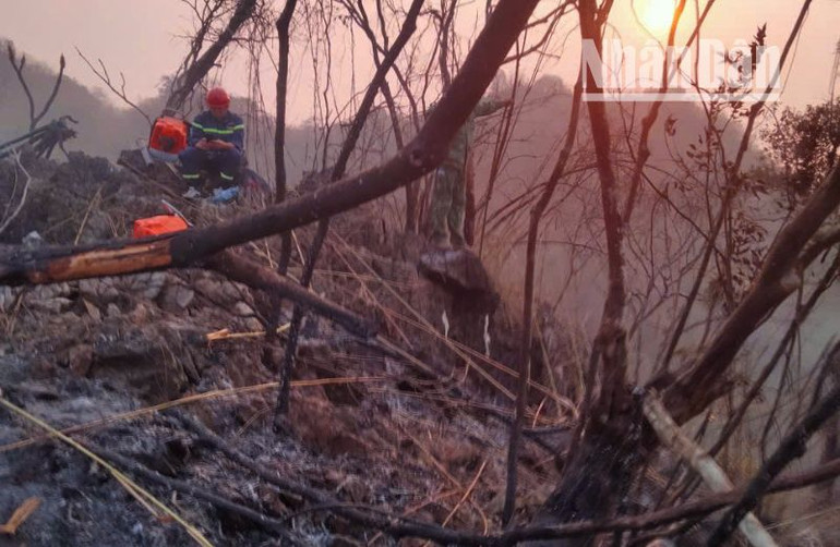 Hiện tại, cháy rừng ở bản Boong Xanh, xã Chiềng Pằn, huyện Yên Châu đã được dập tắt. (Ảnh: DƯƠNG HẢI) Hiện tại, cháy rừng ở bản Boong Xanh, xã Chiềng Pằn, huyện Yên Châu đã được dập tắt. (Ảnh: DƯƠNG HẢI)