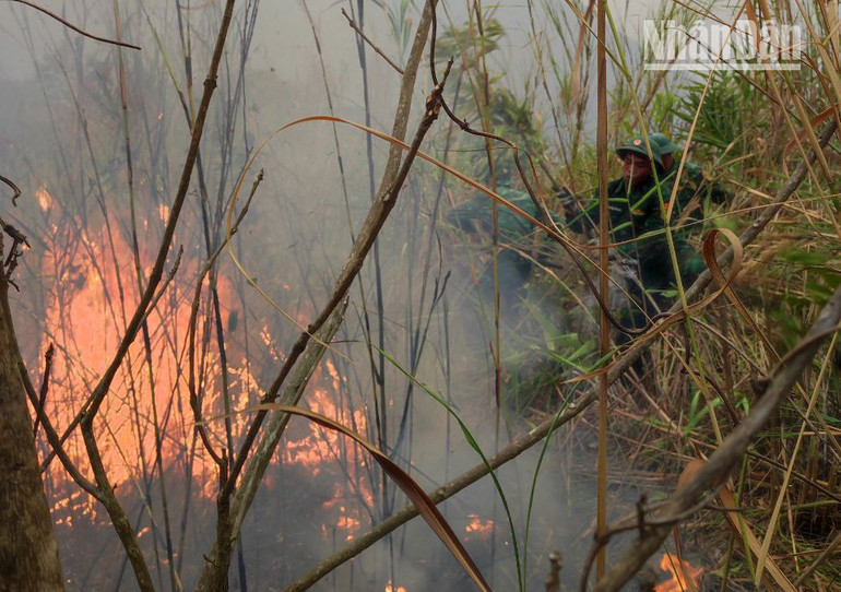 Đến hiện tại, lửa tại khu vực bản Liềng, xã Mường Lèo đã được khống chế hoàn toàn.