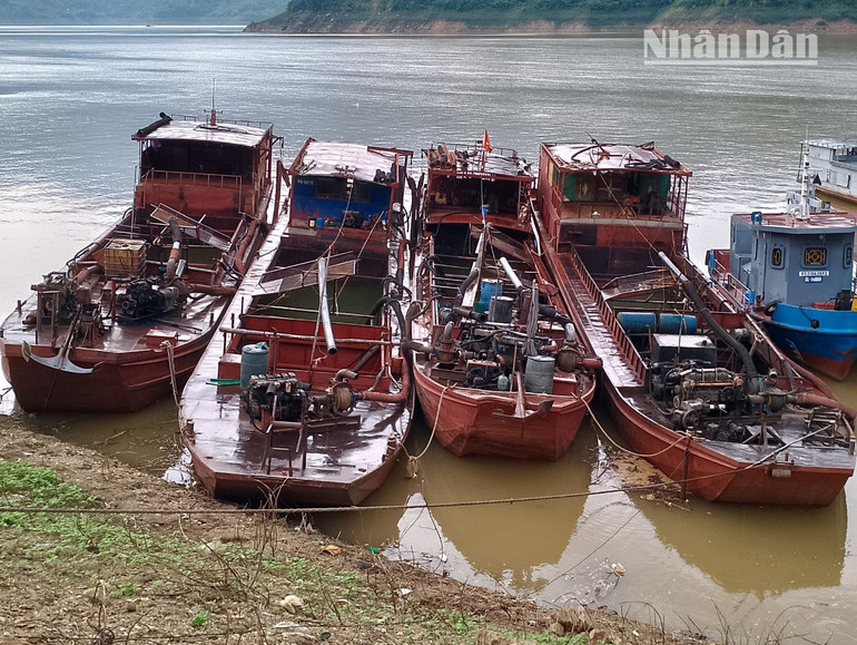 4 tàu tự chế nằm trong 11 lô tài sản, trị giá hơn 420 triệu đồng là tài sản vi phạm hành chính bị tịch thu sung quỹ nhà nước được đấu giá sáng 25/8/2022.