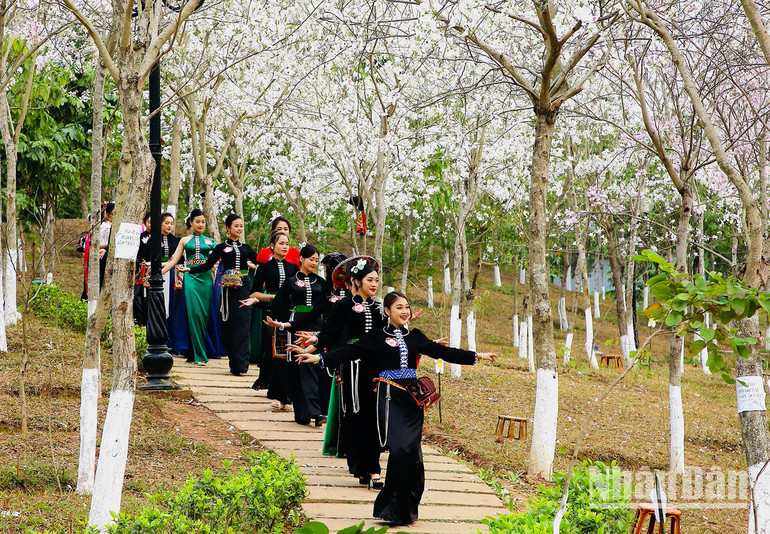 Trình diễn thực cảnh Người đẹp hoa ban là một nội dung mới, hấp dẫn trong Lễ hội hoa ban thành phố Sơn La năm 2023 tại quảng trường Tây Bắc.