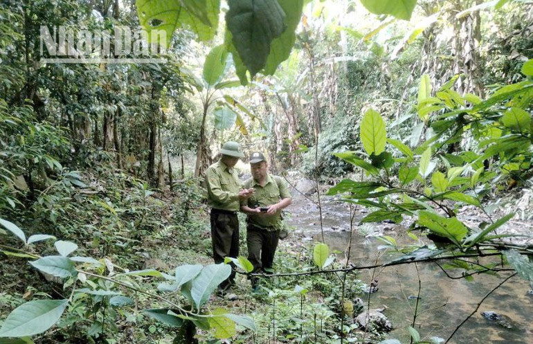 Triển khai hoạt động kiểm tra rừng bằng thiết bị định vị cầm tay kết hợp phần mềm SMART trên điện thoại thông minh.