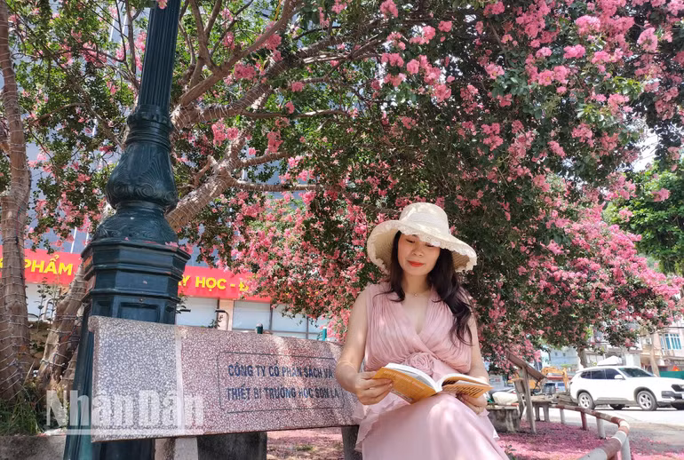 Đến với thành phố Sơn La dịp này, du khách sẽ được ngắm và hòa mình dưới những chùm hoa Tường Vi nở rộng như lạc vào chốn thần tiên. Đến với thành phố Sơn La dịp này, du khách sẽ được ngắm và hòa mình dưới những chùm hoa Tường Vi nở rộng như lạc vào chốn thần tiên.