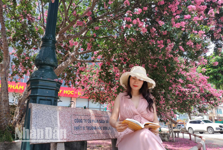 Đến với thành phố Sơn La dịp này, du khách sẽ được ngắm và hòa mình dưới những chùm hoa Tường Vi nở rộng như lạc vào chốn thần tiên.