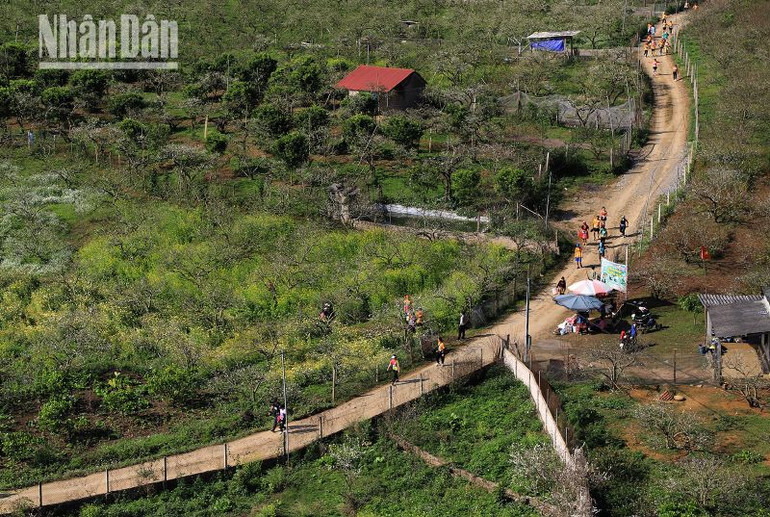 Thung lũng mận Nà Ka, nằm trên con đường qua xã Tân Lập, cách thị trấn Nông trường Mộc Châu chừng 16km là một trong những cung đường đẹp của giải chạy.