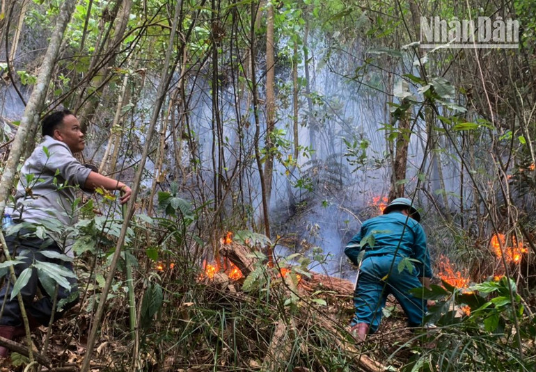 Các lực lượng của huyện Yên Châu tham gia chữa cháy rừng tại khu vực xã Chiềng Đông.