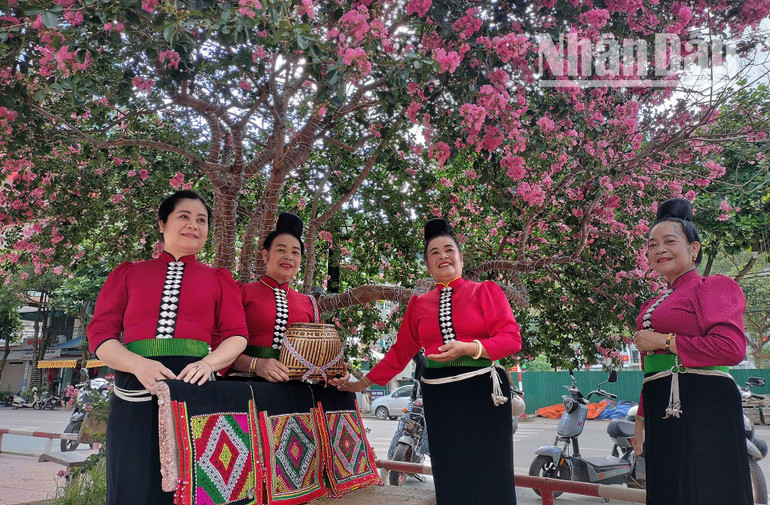Bộ trang phục áo cóm, khăn piêu truyền thống của đồng bào dân tộc Thái cũng được các bà, các mẹ tại các xã, bản của tỉnh Sơn La khoác lên mình để "khoe sắc" cùng những cánh hoa Tường Vi.