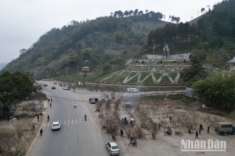 Dọc quốc lộ 6 đoạn chạy qua các huyện Vân Hồ, Mộc Châu, Yên Châu và Mai Sơn bày bán rất nhiều đào vùng cao phục vụ chơi Tết.