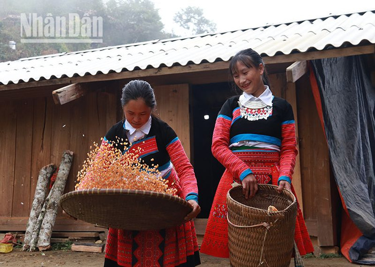 Tại các bản vùng cao của Sơn La, đồng bào H'Mông đã yên tâm lao động, sản xuất, không còn nghe theo lời kẻ xấu như trước.